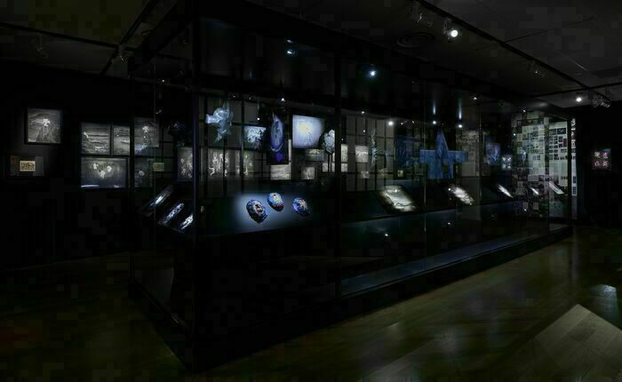 Visite des expositions du Nouveau Printemps