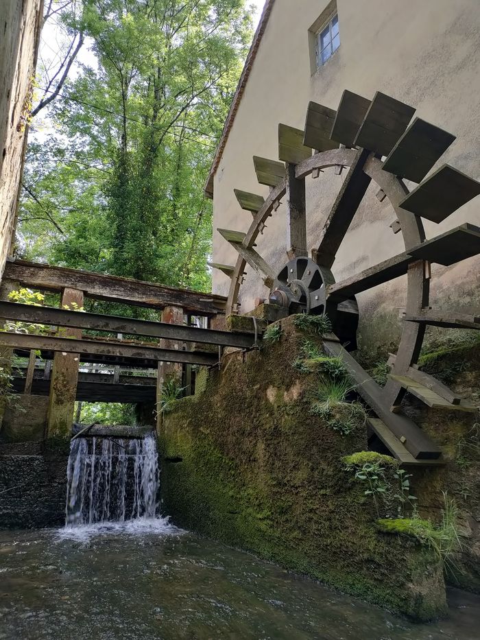Visite guidée d'un moulin du 17e siècle