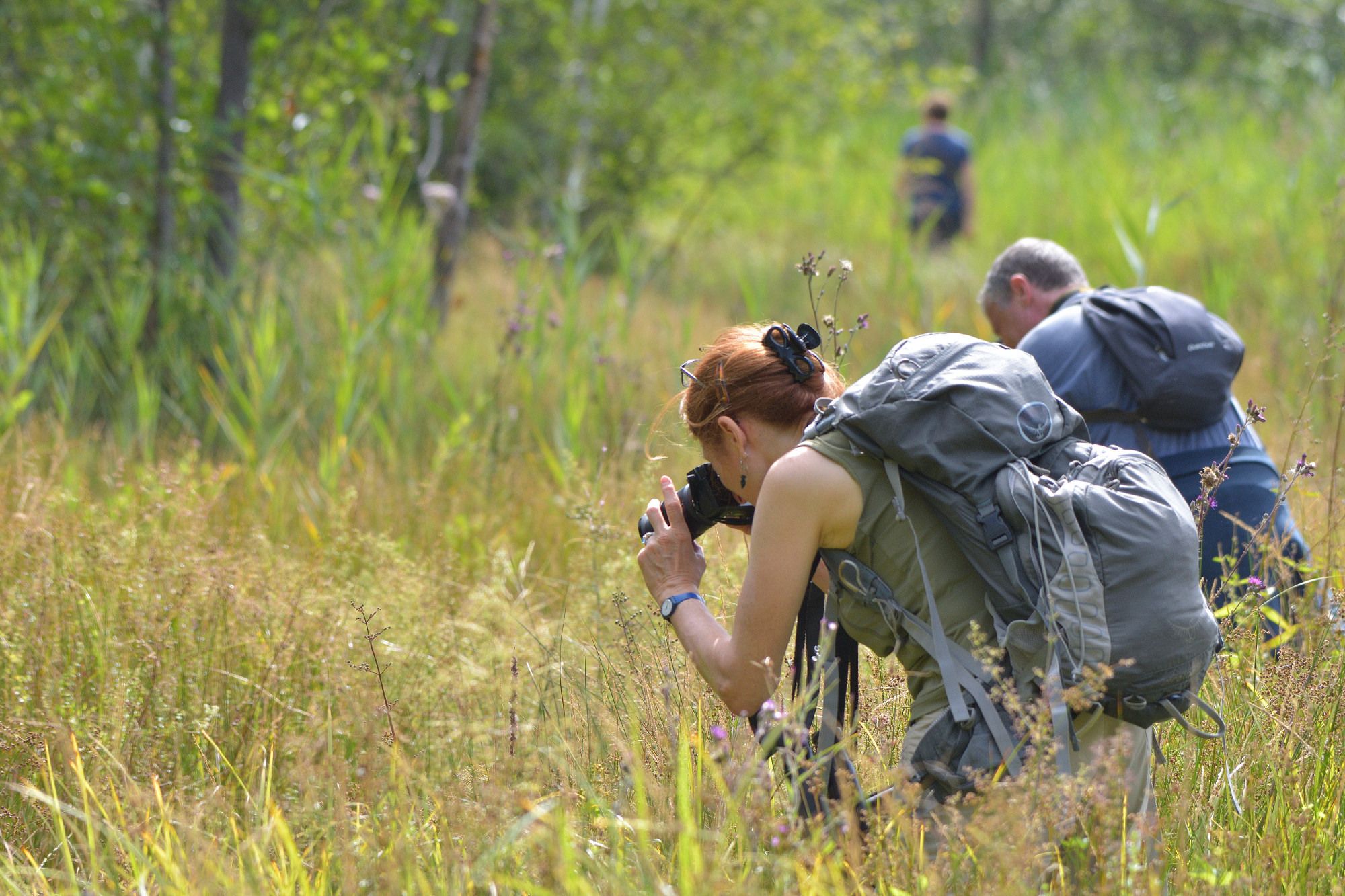Try your hand at wildlife photography in the Marais de Stors RNR