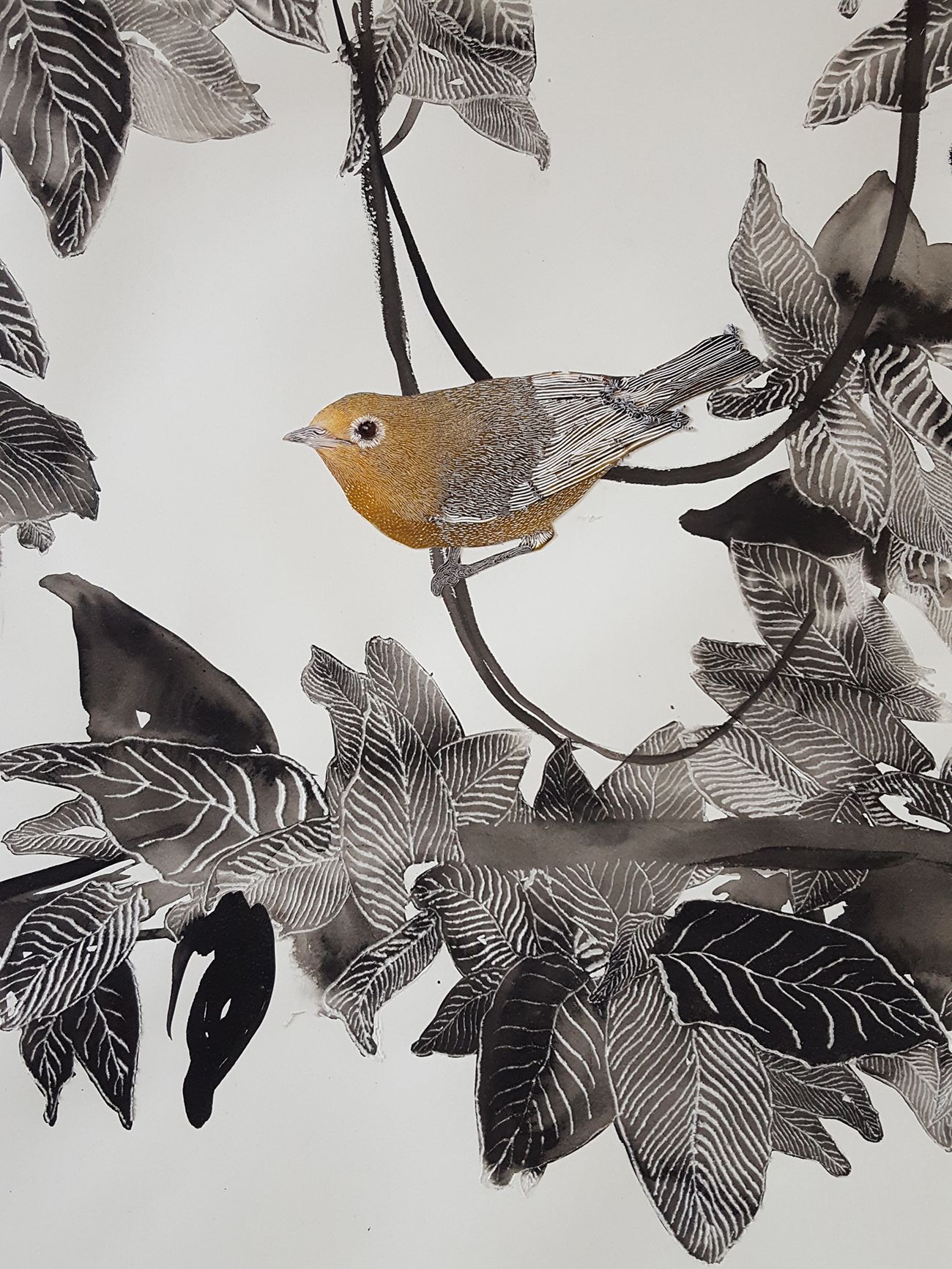 Exposition à Laon :  "Il y a des fleurs partout pour qui veut bien les voir"