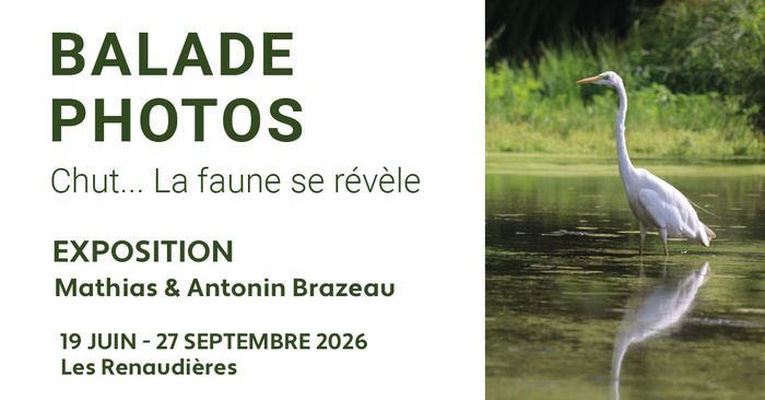 Balade Photos 2026