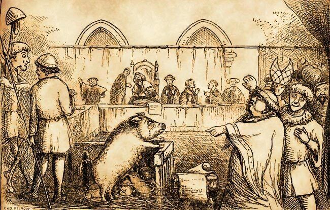 Les procès des animaux à travers l’histoire
