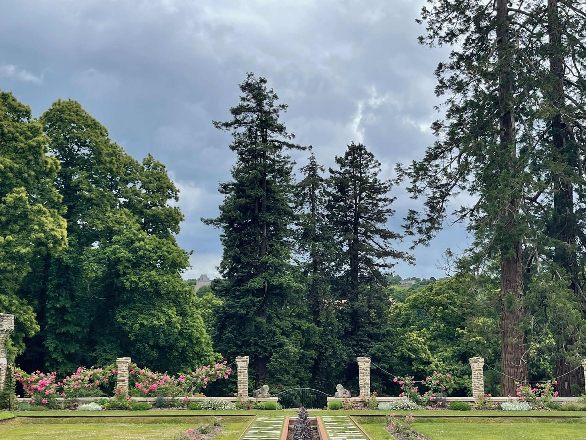 Visites commentées du jardin de Kerrosen