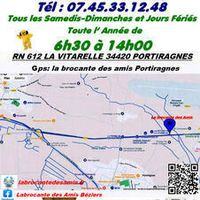 La Brocante des Amis