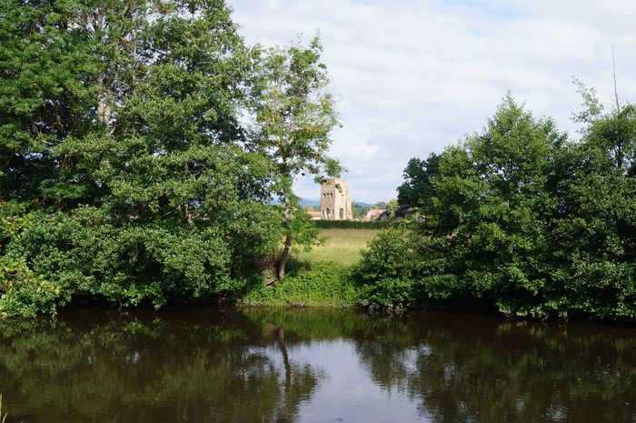 À la découverte des trésors naturels des bords de l'Arroux