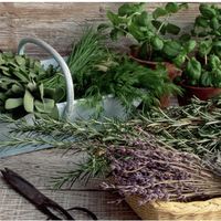Rendez-vous Nature “je cuisine antigaspi”