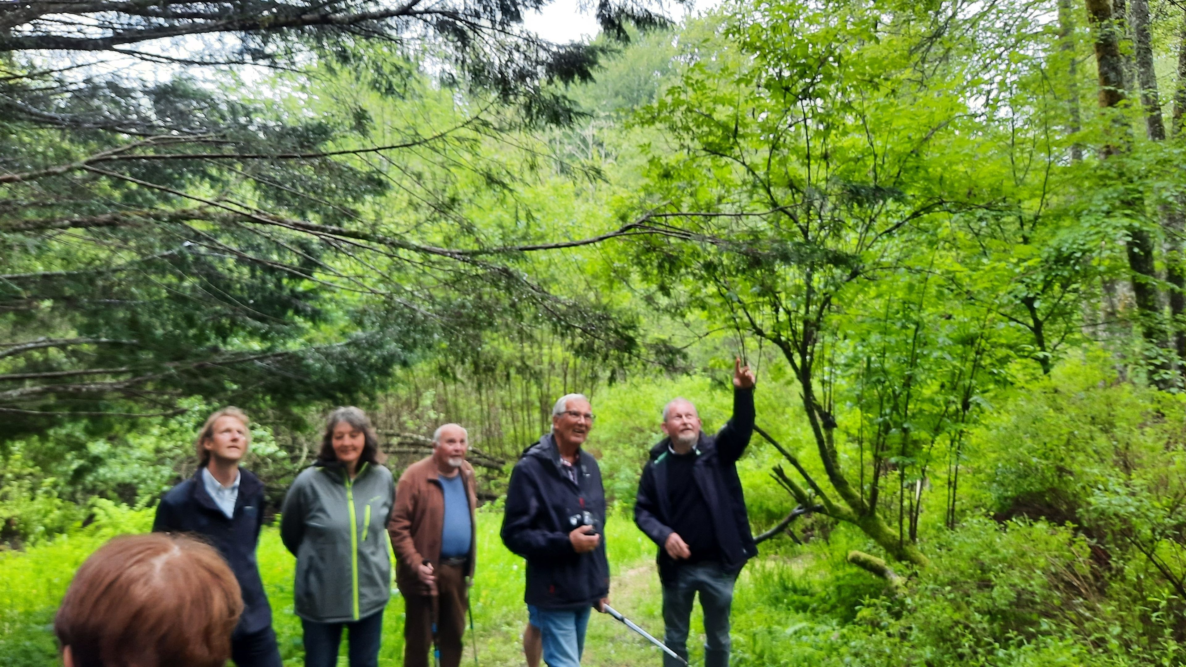 Journées du Patrimoine au parc-arboretum de Saint-Setiers
