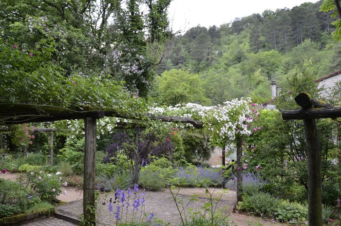 Découverte des jardins de mon moulin labellisés "Jardin remarquable"