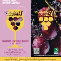 Vignobles en scène - Du vin et des stalactites