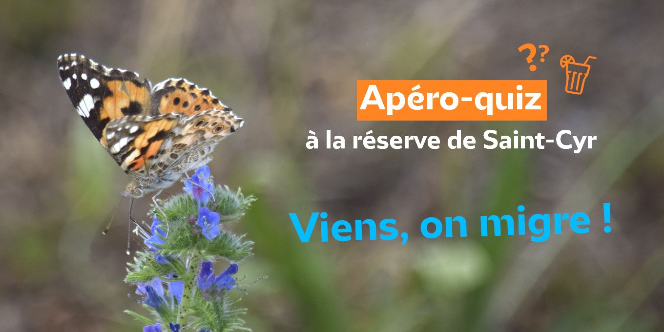 Apéro-quiz : Viens, on migre !
