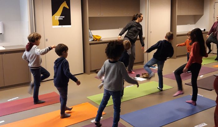 Yoga des animaux