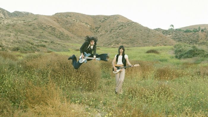 THE LEMON TWIGS