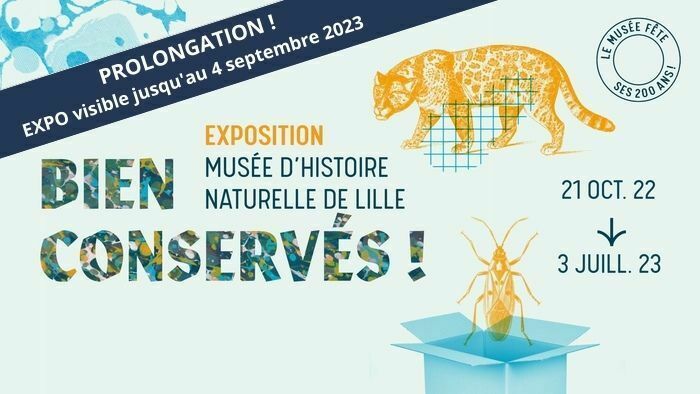 Exposition / 