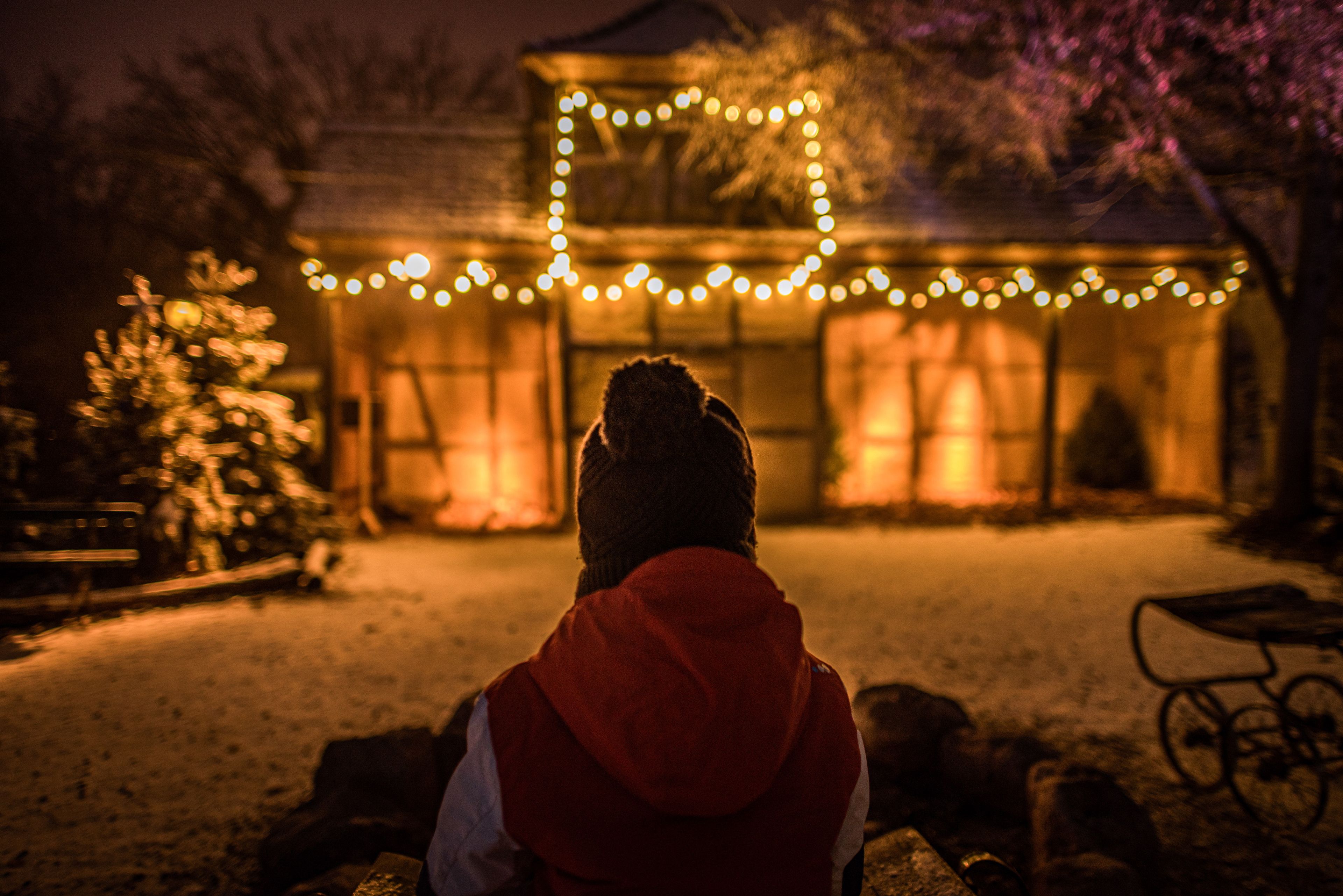 Photo de couverture - L'Écomusée d'Alsace fête Noël