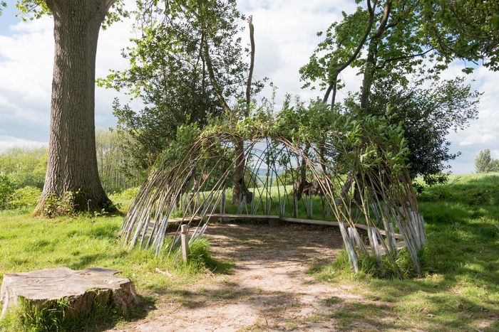 Atelier fabrication d'une cabane en osier vivant