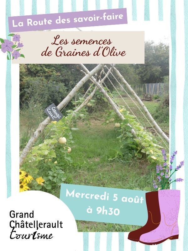 Les semences de Graines d'Olive