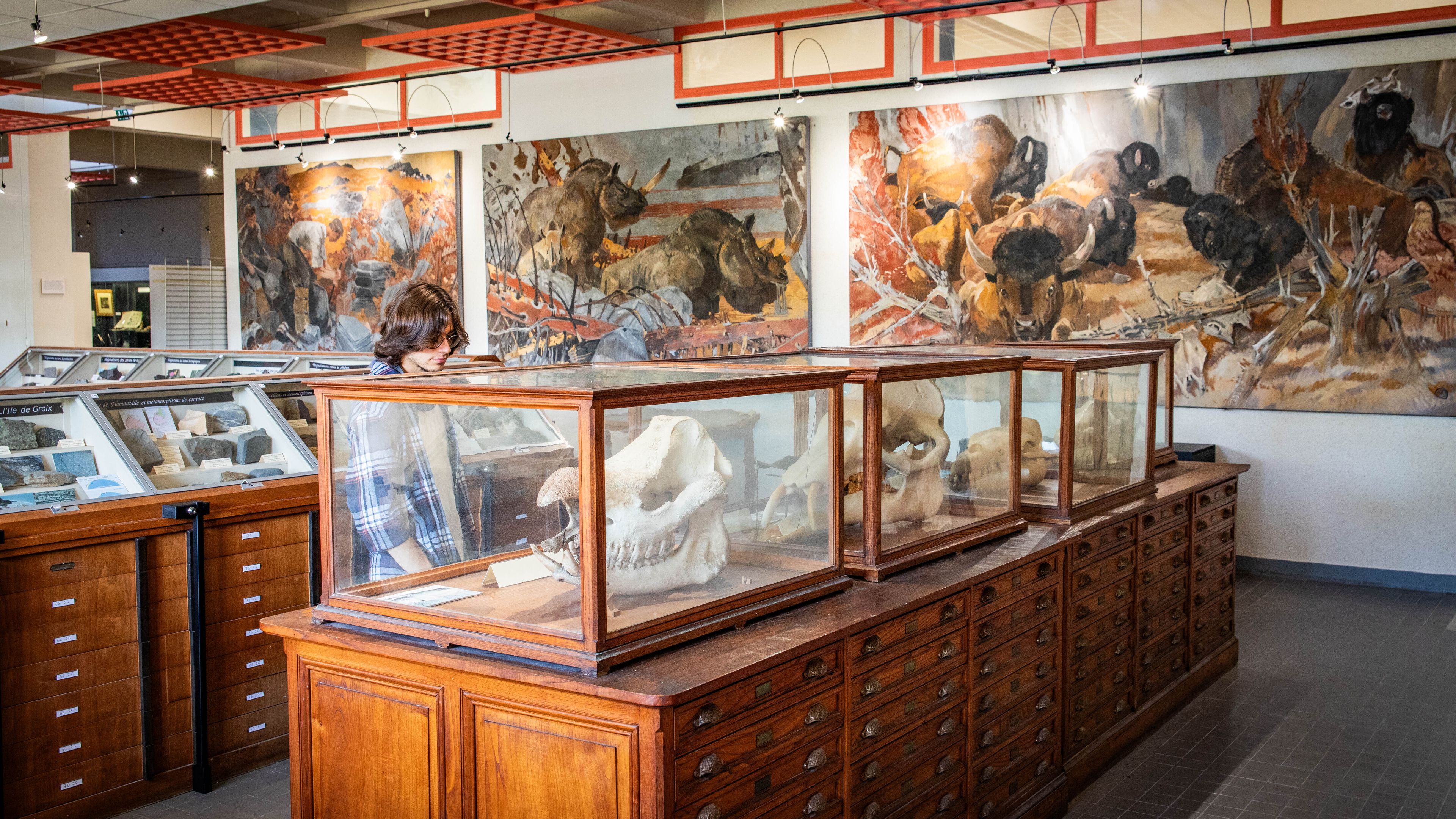 Découverte des collections patrimoniales de l'Université de Rennes