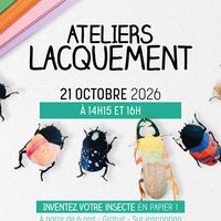 Ateliers Lacquement - Inventez un insecte en papier !