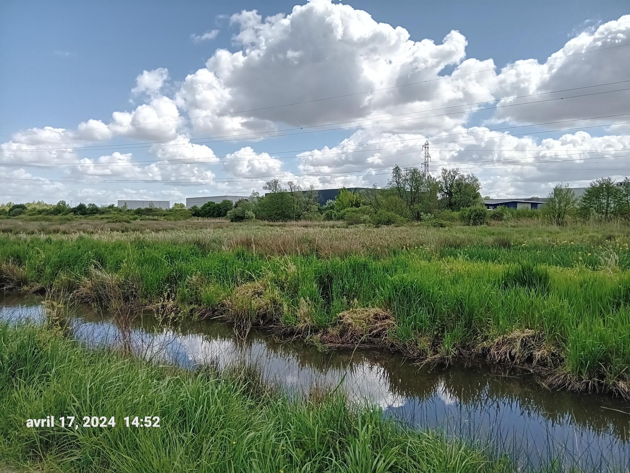Préservons la biodiversité : du Parc Floral à la Réserve Ecologique des Barails