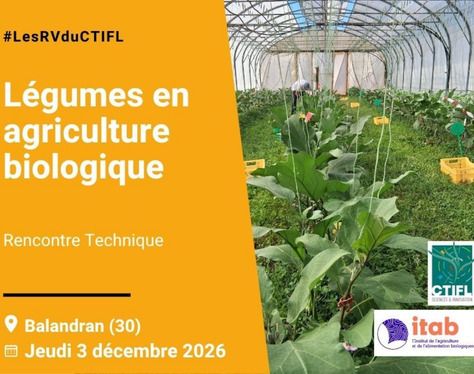 Rencontre technique légumes en agriculture biologique 2026