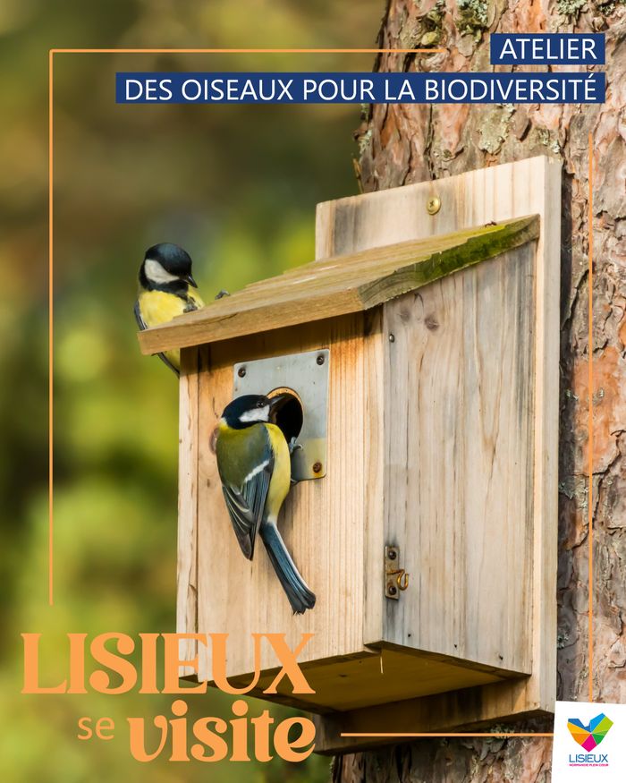 affiche de Atelier - Des oiseaux pour la biodiversité