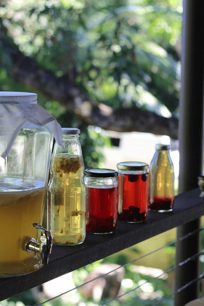 Les secrets des boissons fermentées