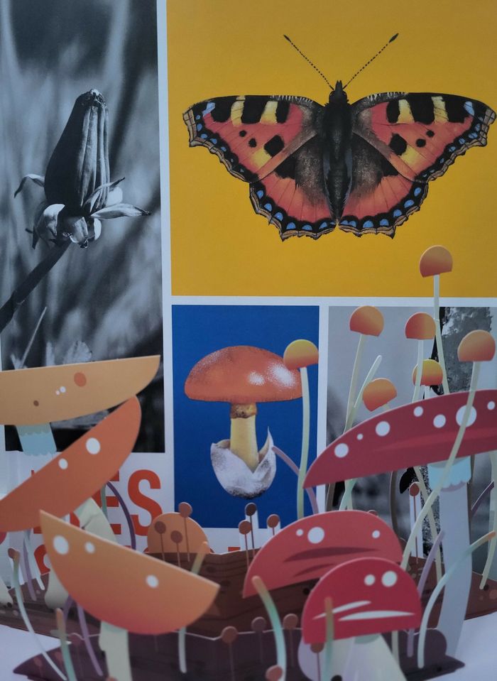 Enfantillages - Histoires de nature