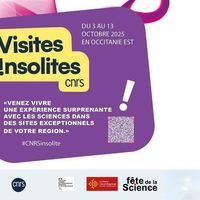 Visites insolites CNRS - Shakespeare à Carcassonne