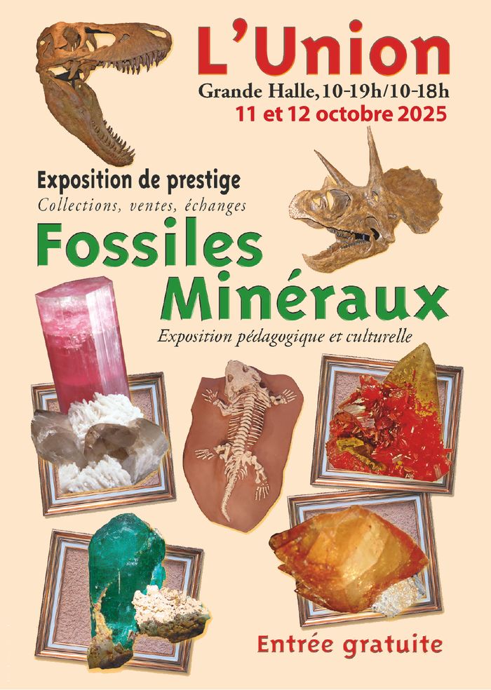 23e salon Minéraux et Fossiles de L'Union (31)