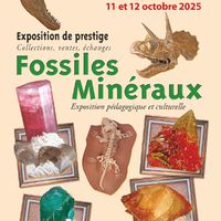 23e salon Minéraux et Fossiles de L'Union (31)