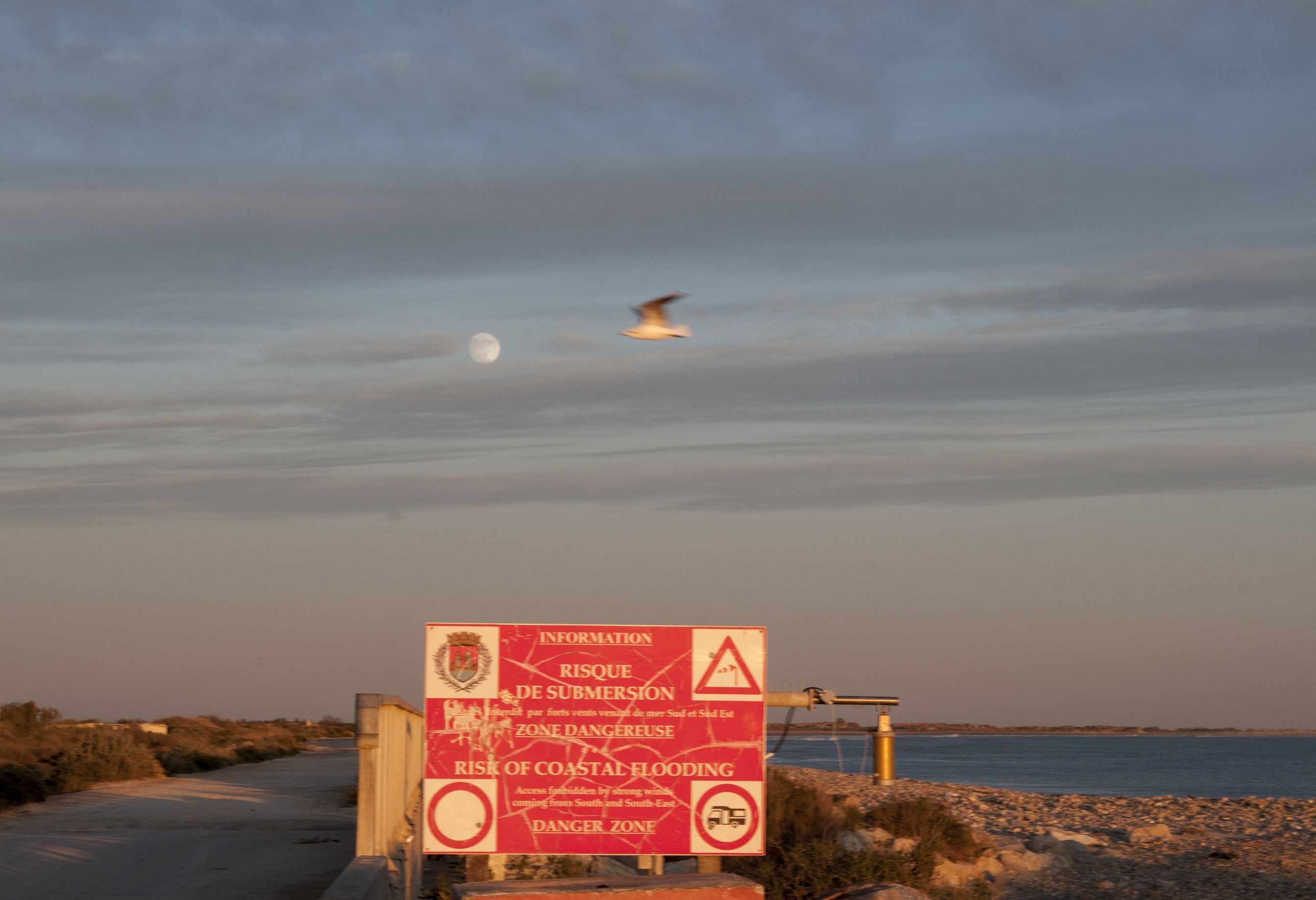 Conférence : évolution des paysages de Camargue