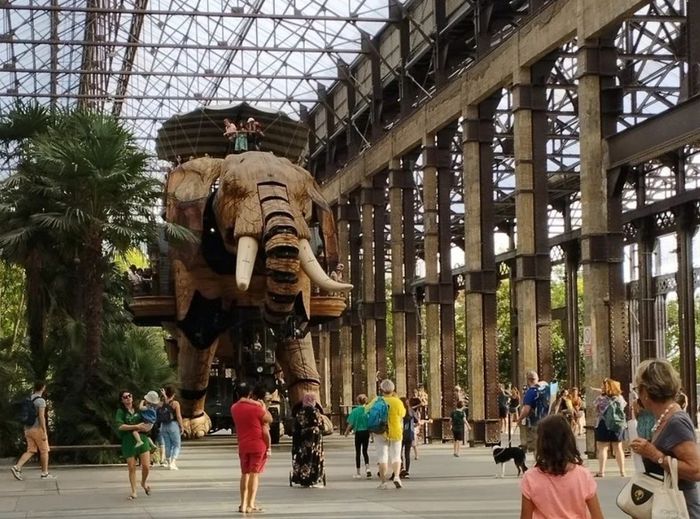 Les petites bêtes vivantes sur les chantiers navals