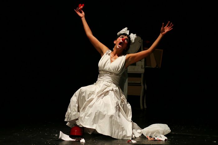 Proposition de spectacle pour le catalogue culturel du Loiret