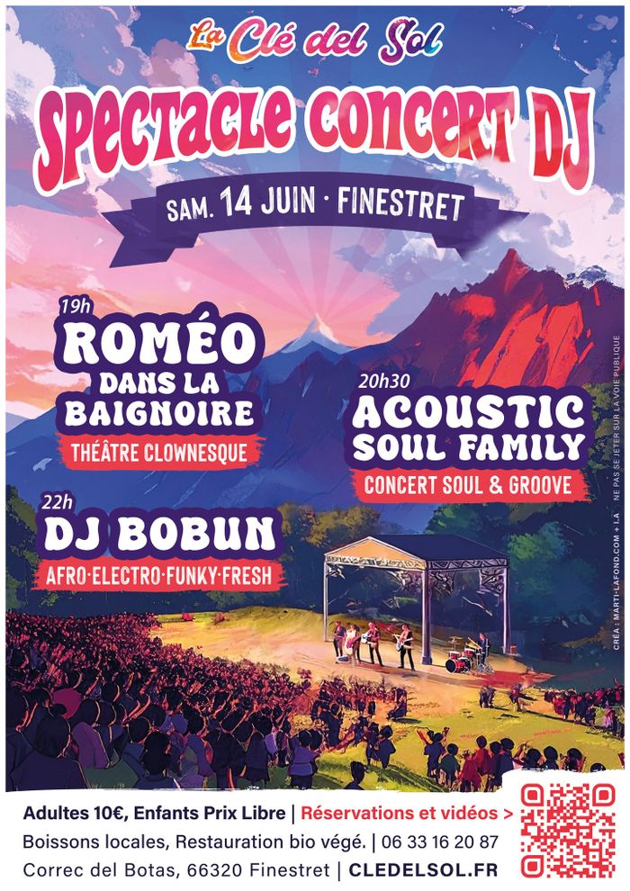 Spectacle Concert DJ