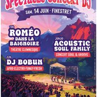Spectacle Concert DJ