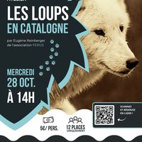 🐺 Spécial Halloween : Les loups en Catalogne 🎃