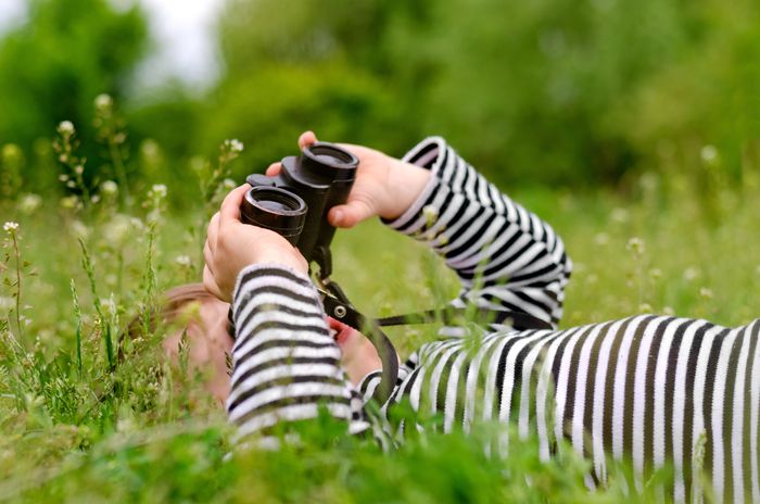 Ateliers pour les 4-6 ans : Les dinosaures de nos jardins