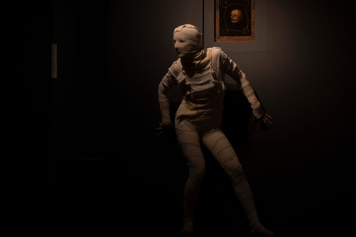 La nuit des ombres