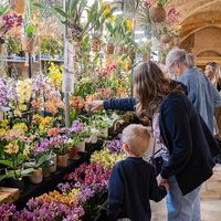 Festival international des Orchidées