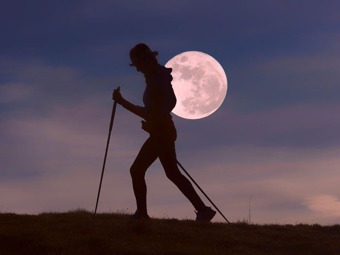 Balade nocturne