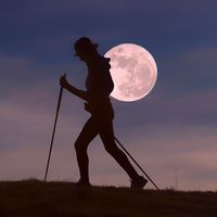 Balade nocturne
