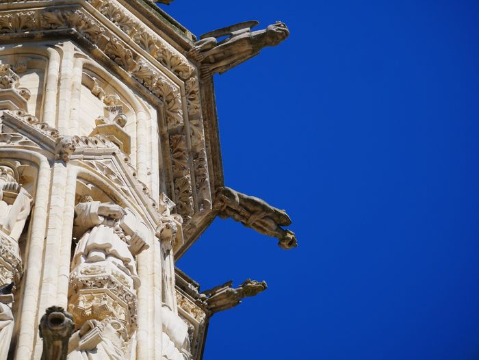 Visite guidée : Tour de la Cathédrale