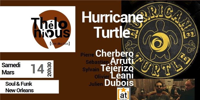 Hurricane Turtle