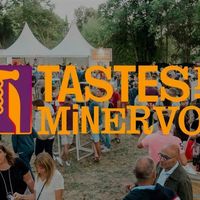 So tastes en minervois spéciale terroir de Laure