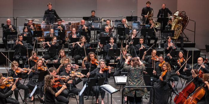 Concert symphonique - Divertimento