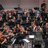 Concert symphonique - Divertimento