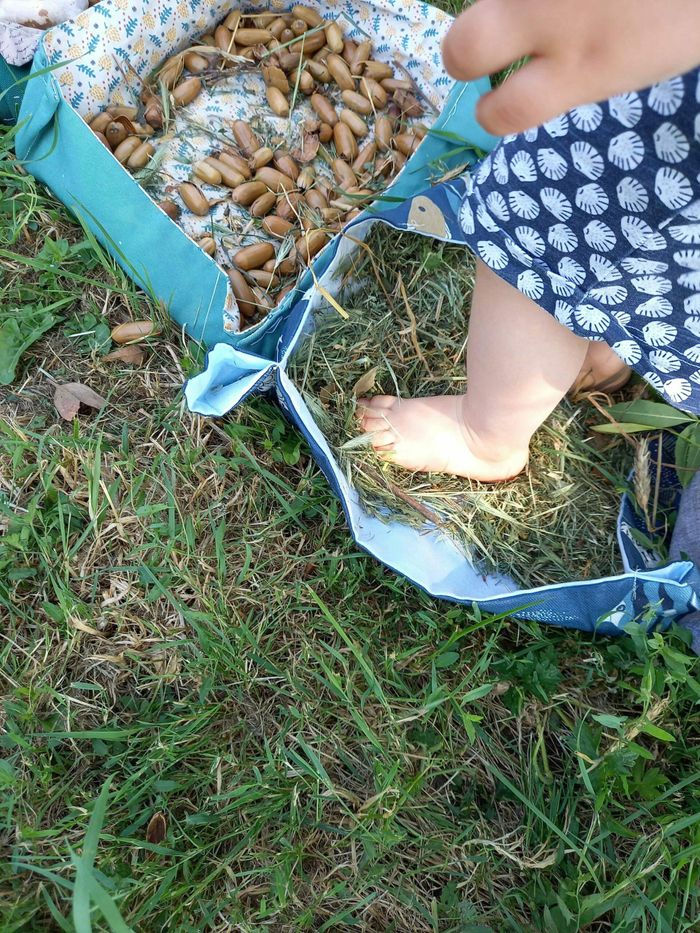 Vadrouillage d'été pour petits petons
