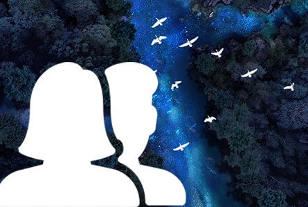 La nuit est belle | Spectacle "Quoiqu'il arrive. Respire"