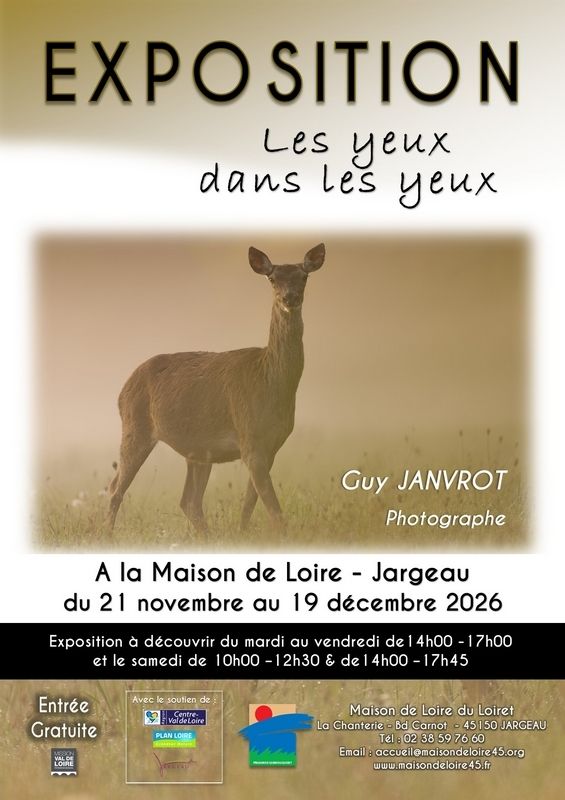 Arrière plan flou de l'image
