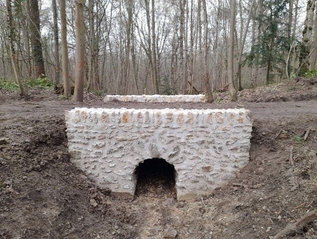 Les vestiges oubliés du bois de Chaville